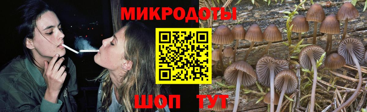 Галлюциногенные грибы Magic Shrooms Костомукша