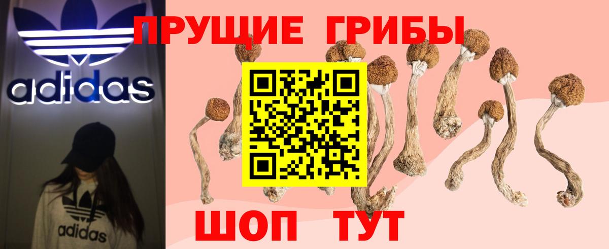 Костомукша  Галлюциногенные грибы прущие грибы  Вход с VPN  наркота  Галлюциногенные грибы прущие грибы 